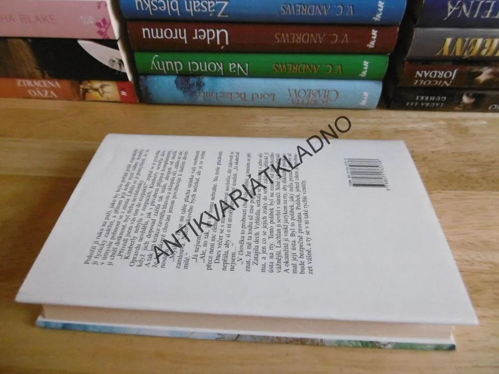 MILUJ MĚ NAVŽDY, JOHANNA LINDSEYOVÁ, LINDSEY, **an