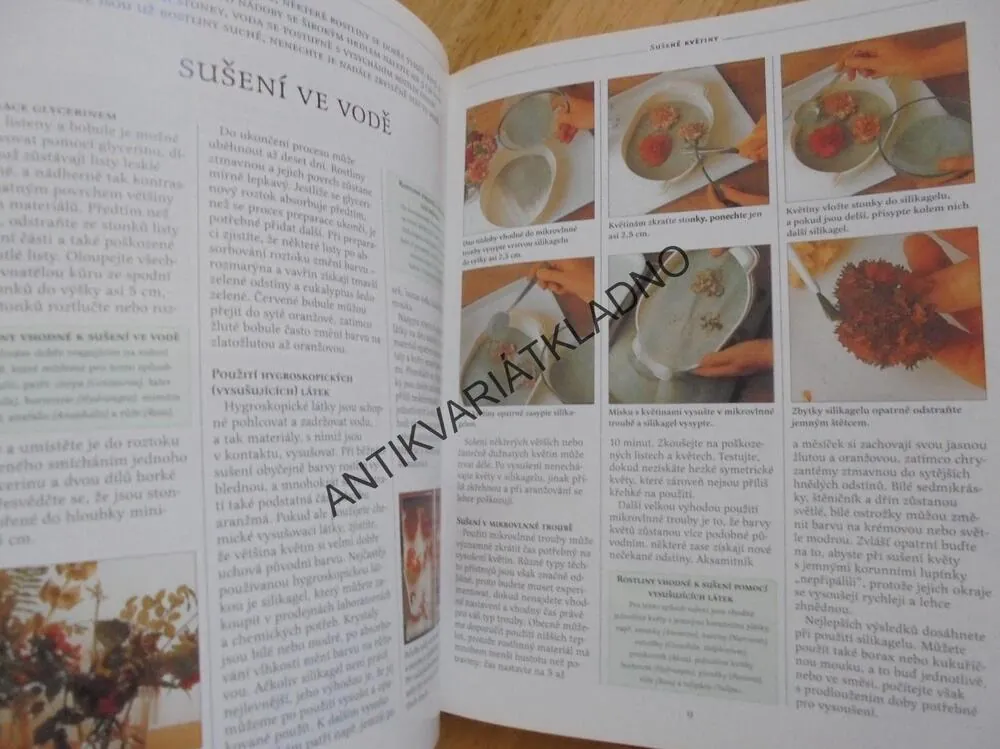 SUŠENÉ KVĚTINY, ARANŽOVÁNÍ, DEKORACE, **an
