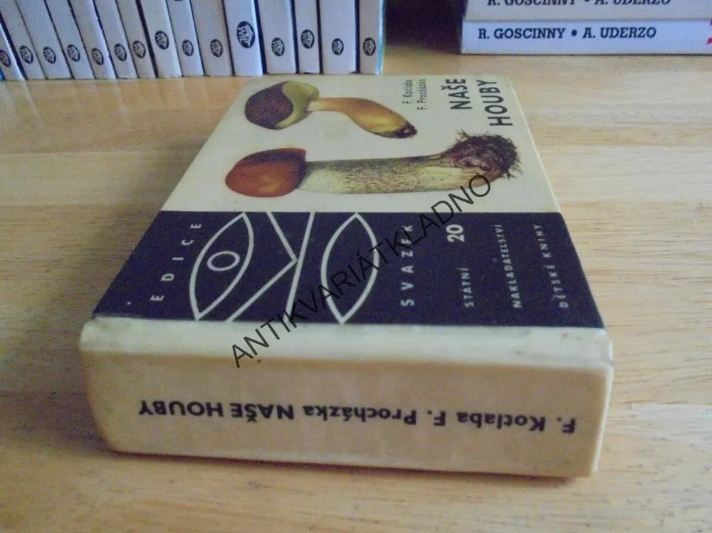 OKO 20 - NAŠE HOUBY, MYKOLOGIE, KOTLABA, 1985, **an