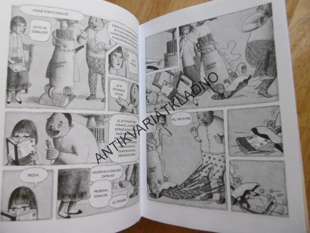 FLORA A ODDYSSEUS, KATE DICAMILLO