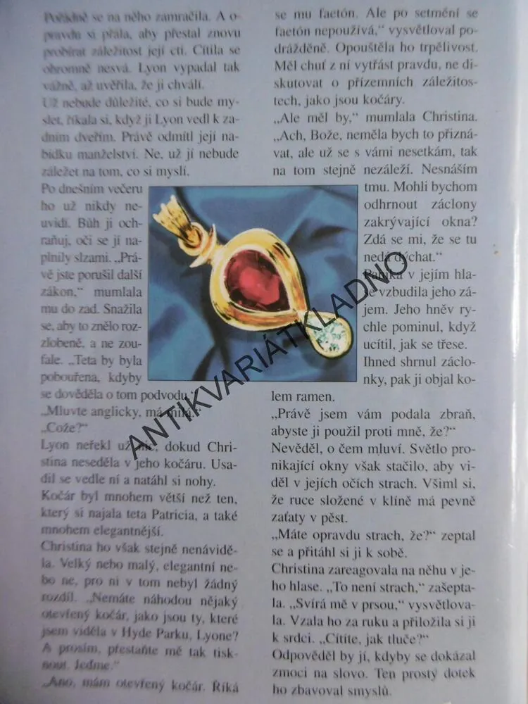 DÁMA Z DIVOČINY, JULIE GARWOOD, GARWOODOVÁ, stav a1, **an