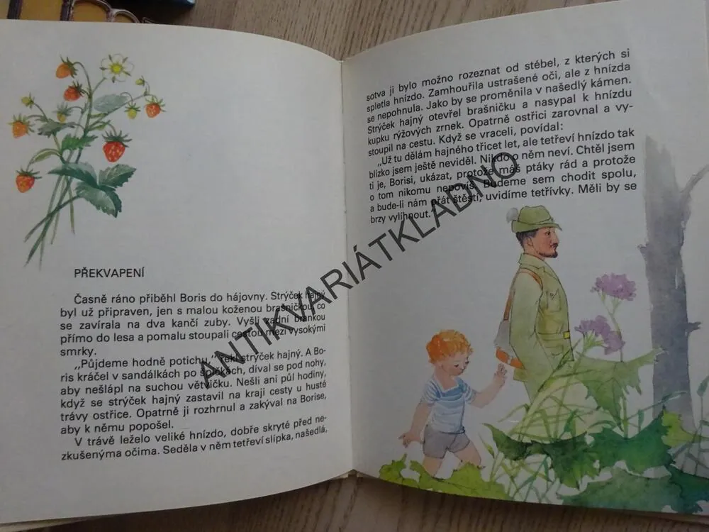 5MINUTOVÉ POHÁDKY, 31 POHÁDEK KE ČTENÍ PŘED SPANÍM, **an