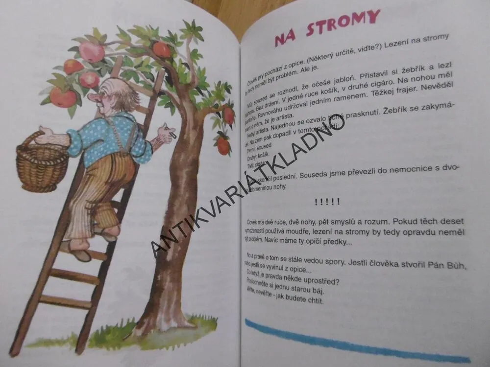 LETNÍ TÁBOR, **an