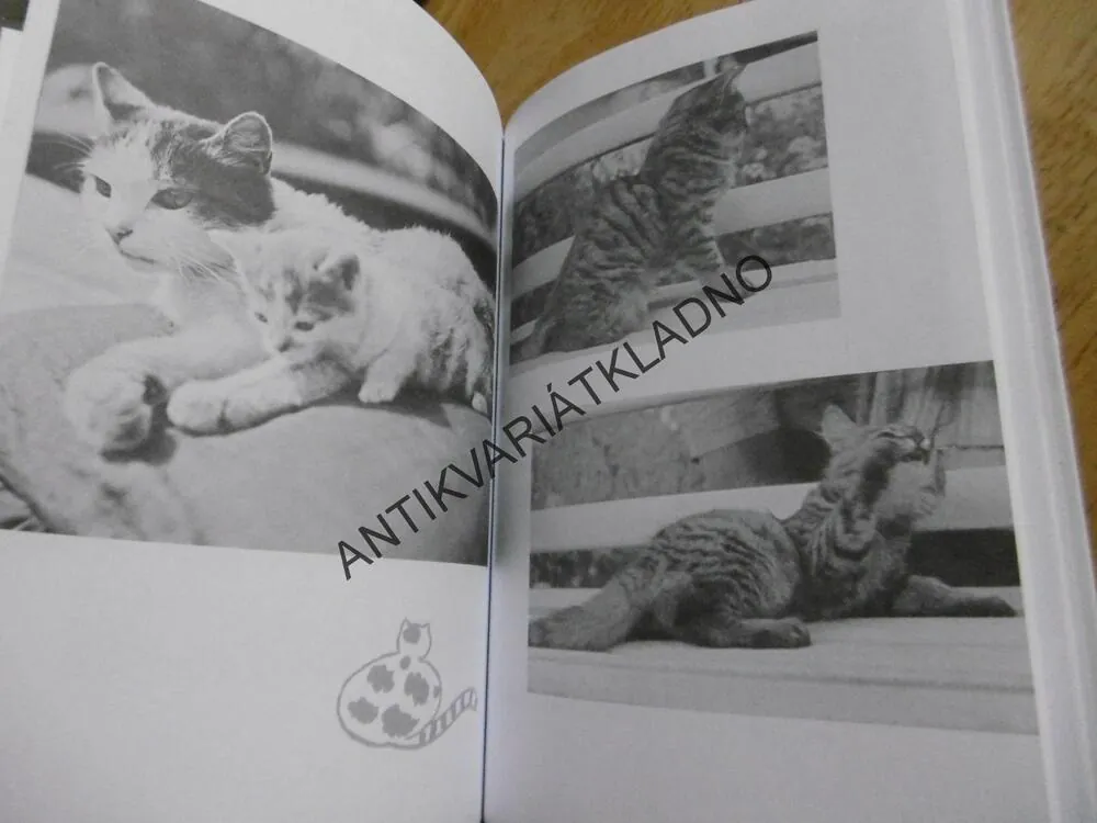 PUDLENKA ANEB MĚL JSEM PSA A KOČKU, KAREL ČAPEK, JOSEF ČAPEK, 2004, **an