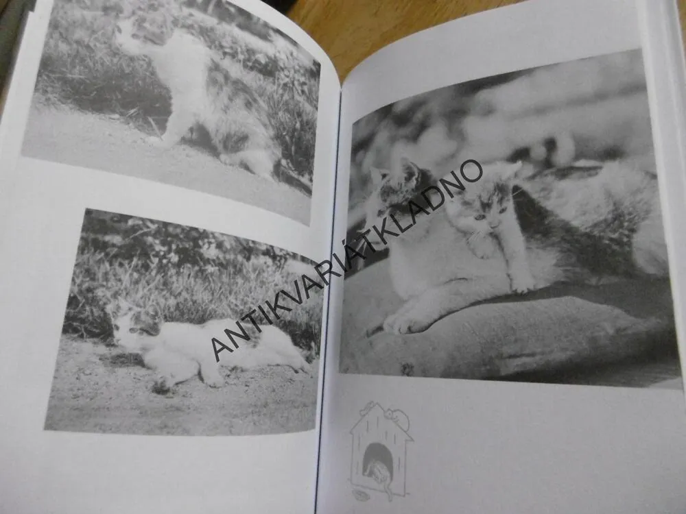 PUDLENKA ANEB MĚL JSEM PSA A KOČKU, KAREL ČAPEK, JOSEF ČAPEK, 2004, **an