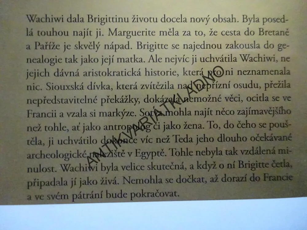 MARNOTRATNÝ SYN, DANIELLE STEEL, **an