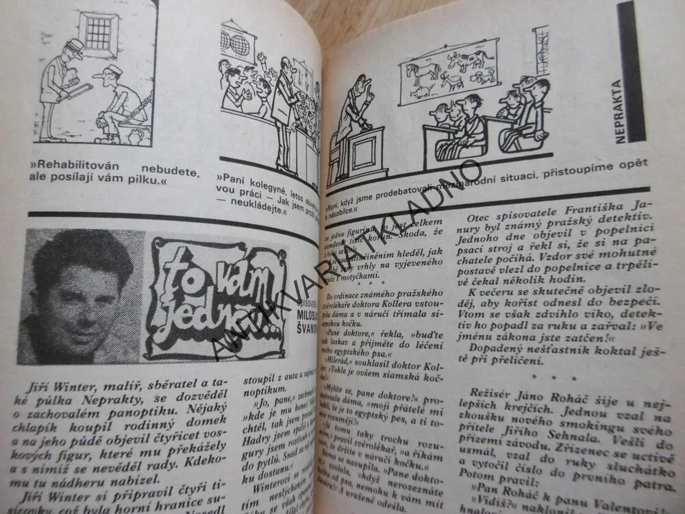 DIKOBRAZ, 1968-69, VÝBĚR Z KRESLENÉHO HUMORU, **an
