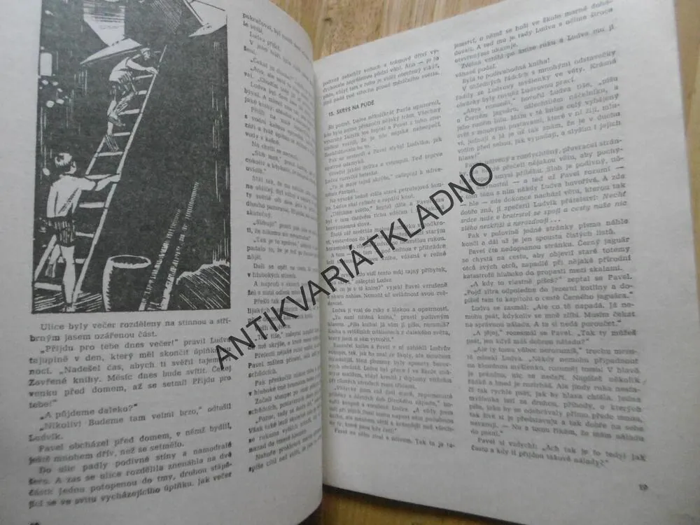 CHATA V JEZERNÍ KOTLINĚ, JAROSLAV FOGLAR, MARKO ČERMÁK, **an