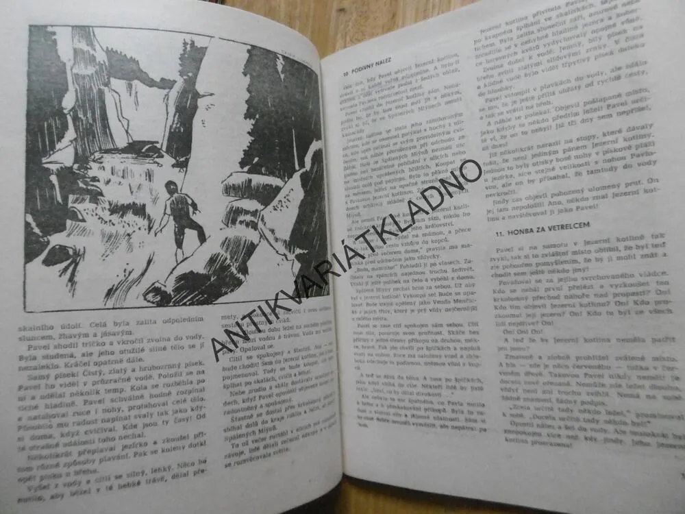 CHATA V JEZERNÍ KOTLINĚ, JAROSLAV FOGLAR, MARKO ČERMÁK, **an