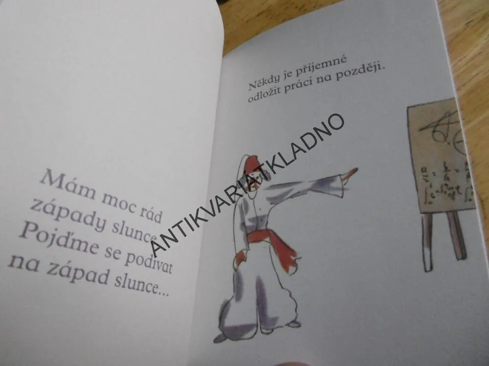 ŠTĚSTÍ, (MALÝ PRINC)