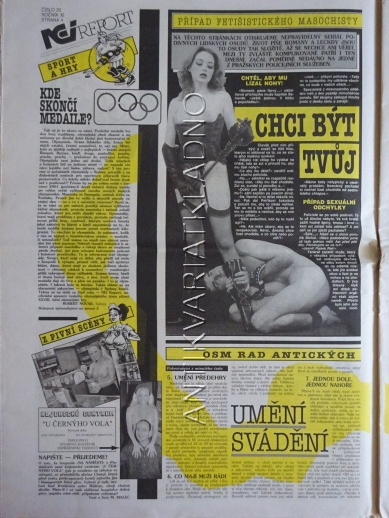 ČESKOSLOVENSKÝ NEI REPORT, 20/2000