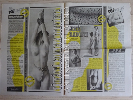 ČESKOSLOVENSKÝ NEI REPORT, 21/2000