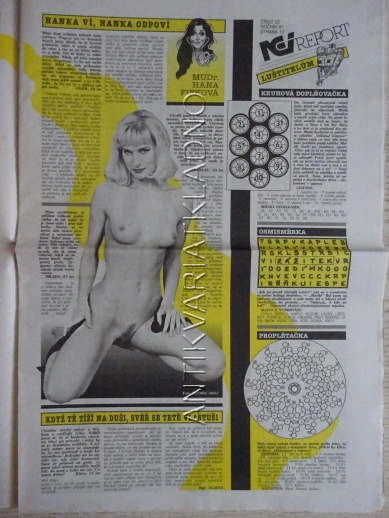 ČESKOSLOVENSKÝ NEI REPORT, 22/2000