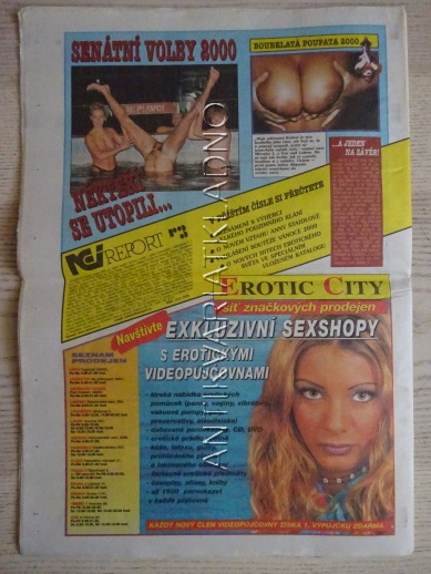 ČESKOSLOVENSKÝ NEI REPORT, 24/2000