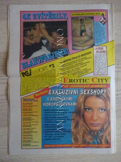 ČESKOSLOVENSKÝ NEI REPORT, 25/2000