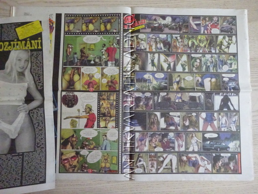 ČESKOSLOVENSKÝ NEI REPORT, 3/2001