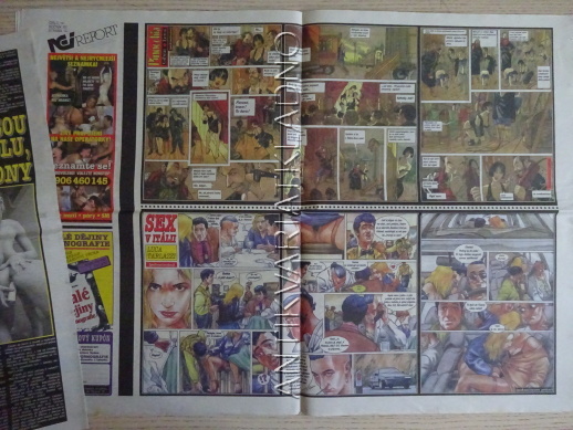 ČESKOSLOVENSKÝ NEI REPORT, 14/2001