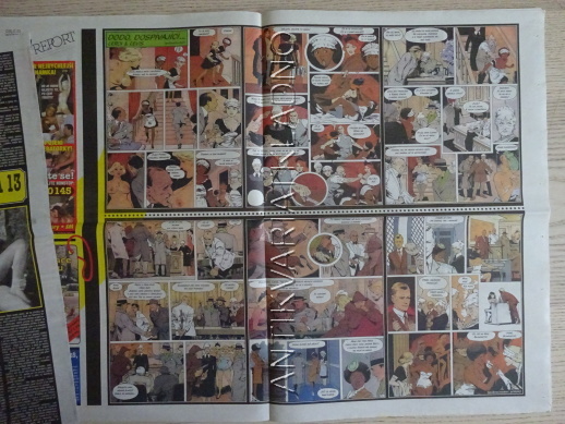 ČESKOSLOVENSKÝ NEI REPORT, 23/2001