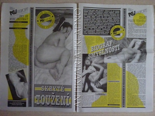 ČESKOSLOVENSKÝ NEI REPORT, 1/2002