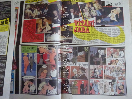 ČESKOSLOVENSKÝ NEI REPORT, 7/2002