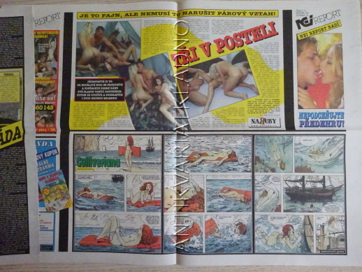 ČESKOSLOVENSKÝ NEI REPORT, 10/2002