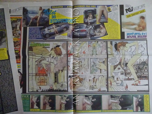 ČESKOSLOVENSKÝ NEI REPORT, 19/2002