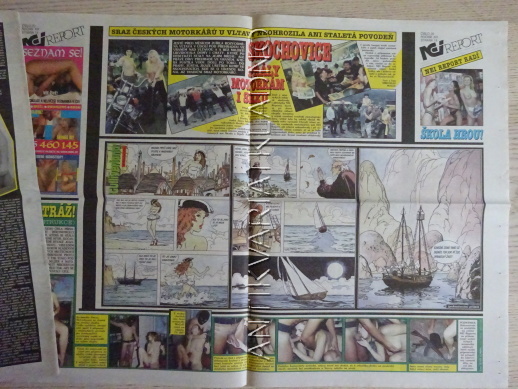 ČESKOSLOVENSKÝ NEI REPORT, 20/2002
