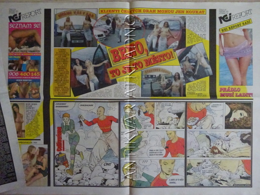 ČESKOSLOVENSKÝ NEI REPORT, 22/2002