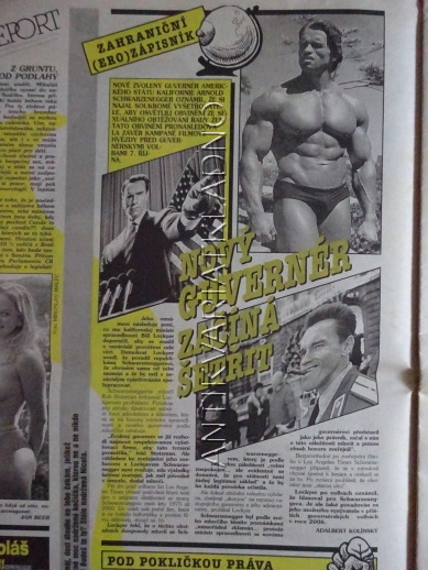 ČESKOSLOVENSKÝ NEI REPORT, 25/2003