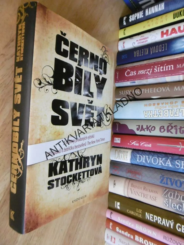 ČERNOBÍLÝ SVĚT, KATHRYN STOCKETTOVÁ, **an