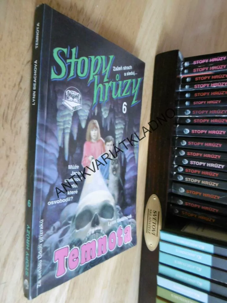 STOPY HRŮZY 6- TEMNOTA, LYNN BEACHOVÁ