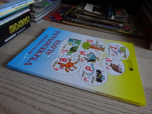 PROCVIČUJEME VYJMENOVANÁ SLOVA, **an