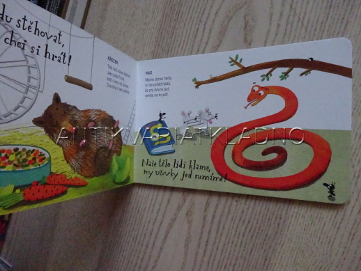 U NÁS BYDLÍ ZVÍŘATA, IVONA BŘEZINOVÁ, BÁRA BUCHALOVÁ, **an