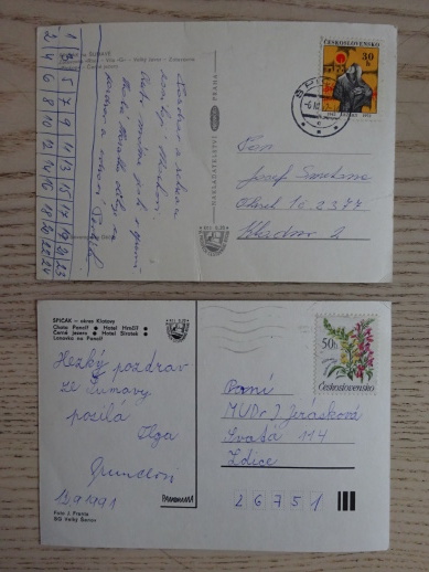 ŠUMAVA, ŠPIČÁK, 2 KUSY