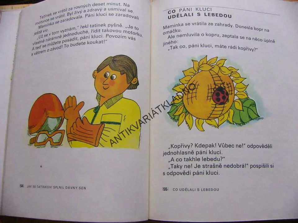 PÁNI KLUCI, BARUZDIN, SATRAPOVÁ, **an