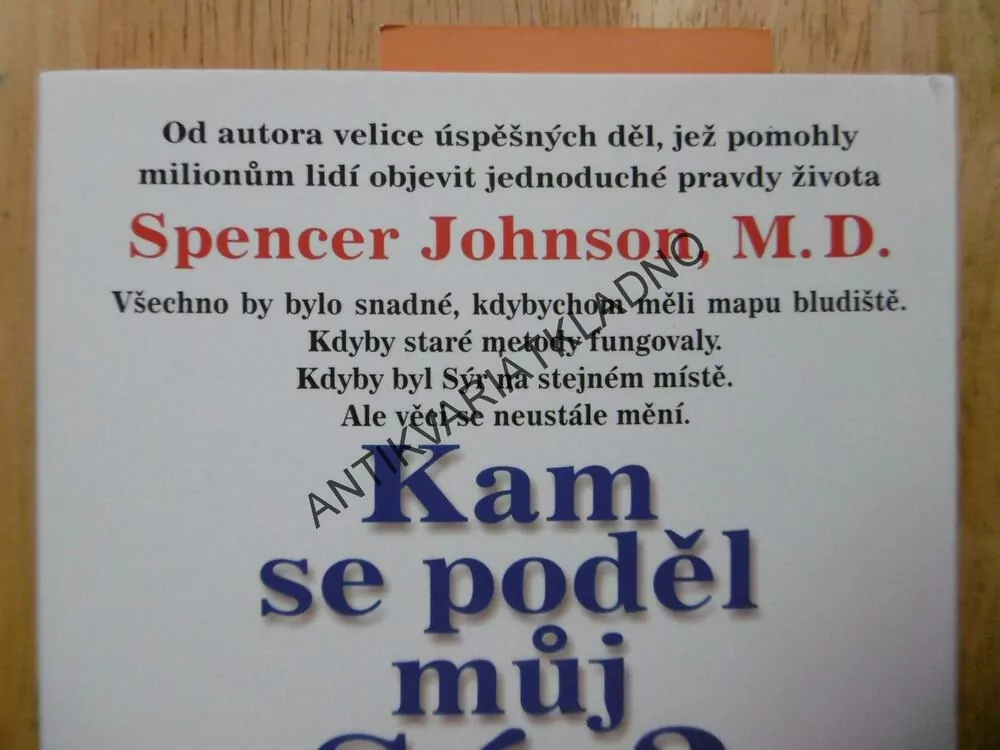 KAM SE PODĚL MŮJ SÝR, SPENCER JOHNSON