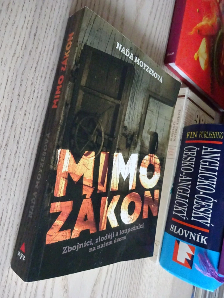 MIMO ZÁKON, NAĎA MOYZESOVÁ, **an