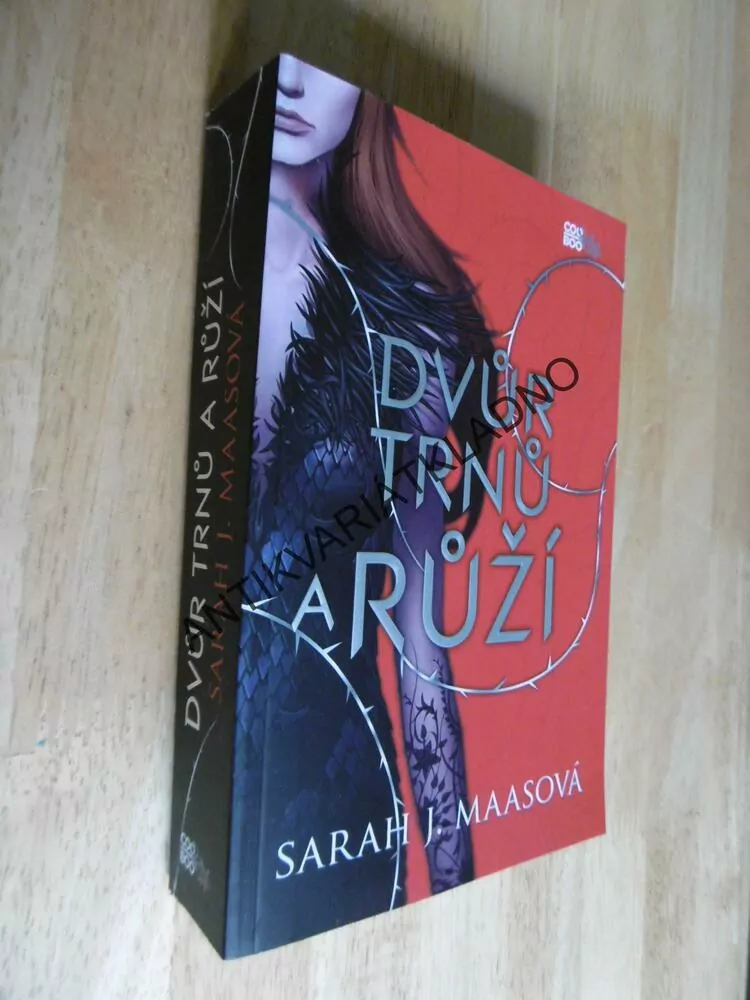 DVŮR TRNŮ A RŮŽÍ, SARAH J.MAASOVÁ