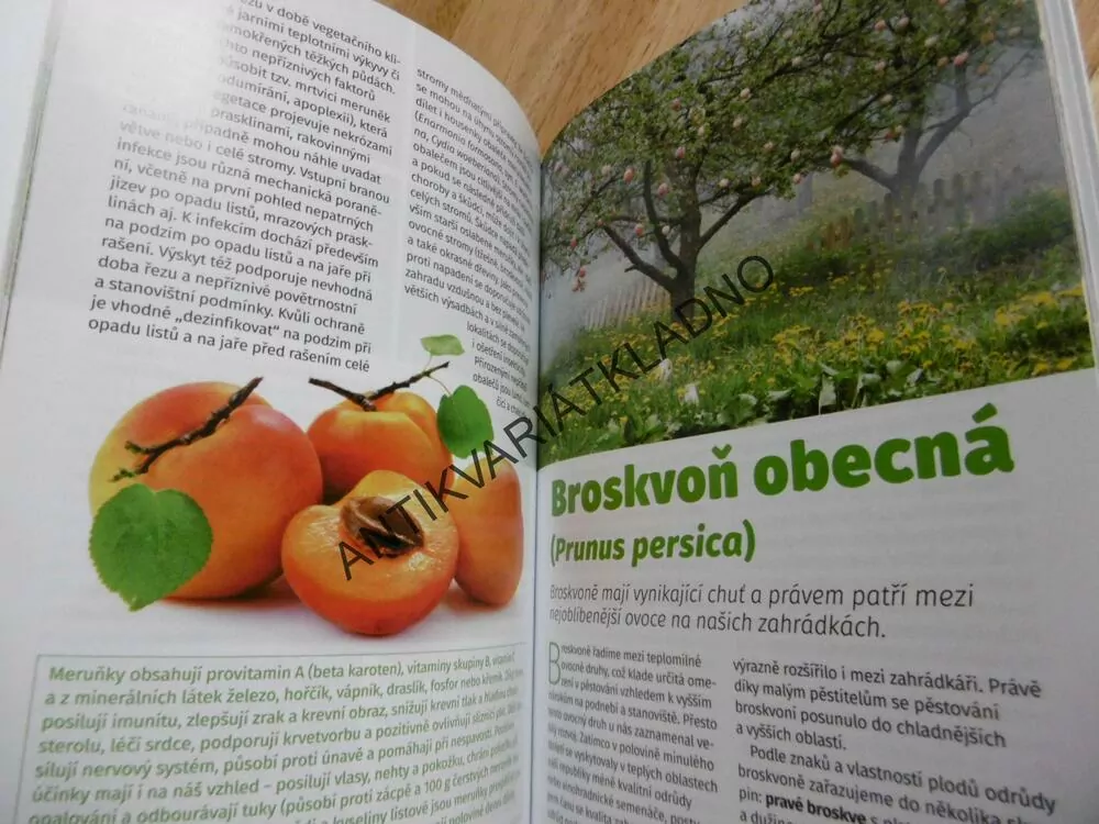 OVOCNÉ STROMY, EDICE RECEPTÁŘ, **an