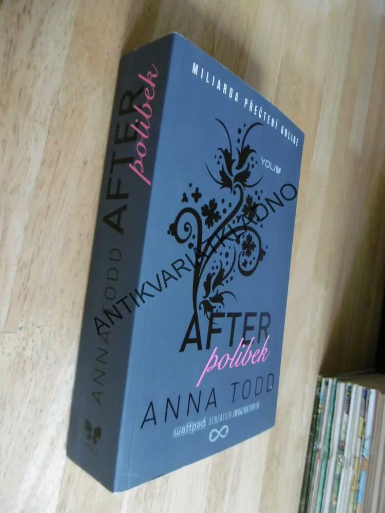 AFTER POLIBEK, ANNA TODD, 