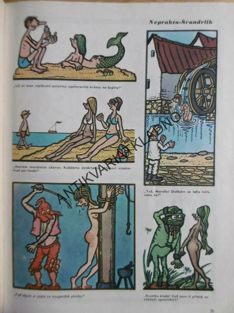 MAGAZÍN DIKOBRAZU, 1981