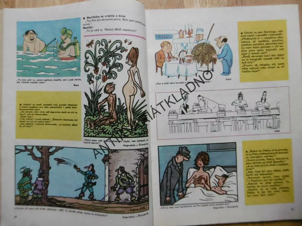 MAGAZÍN DIKOBRAZU, 1973