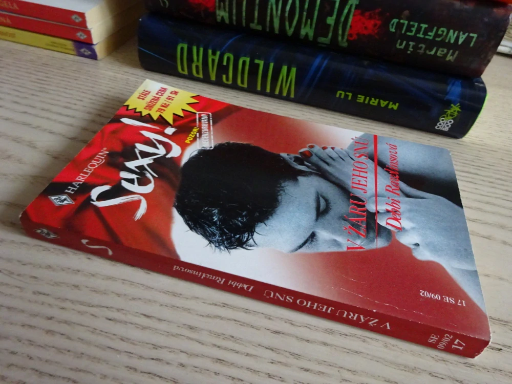 V ŽÁRU JEHO SNŮ, DEBBI RAWLINS, **an