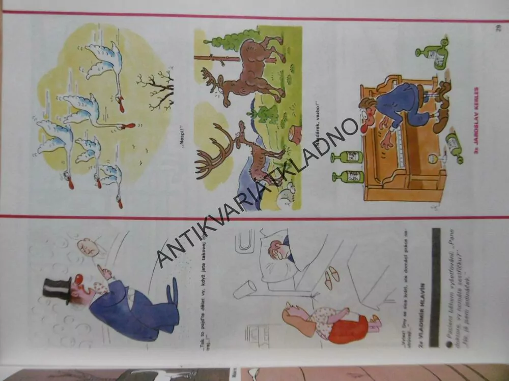 MAGAZÍN DIKOBRAZU, 3/89