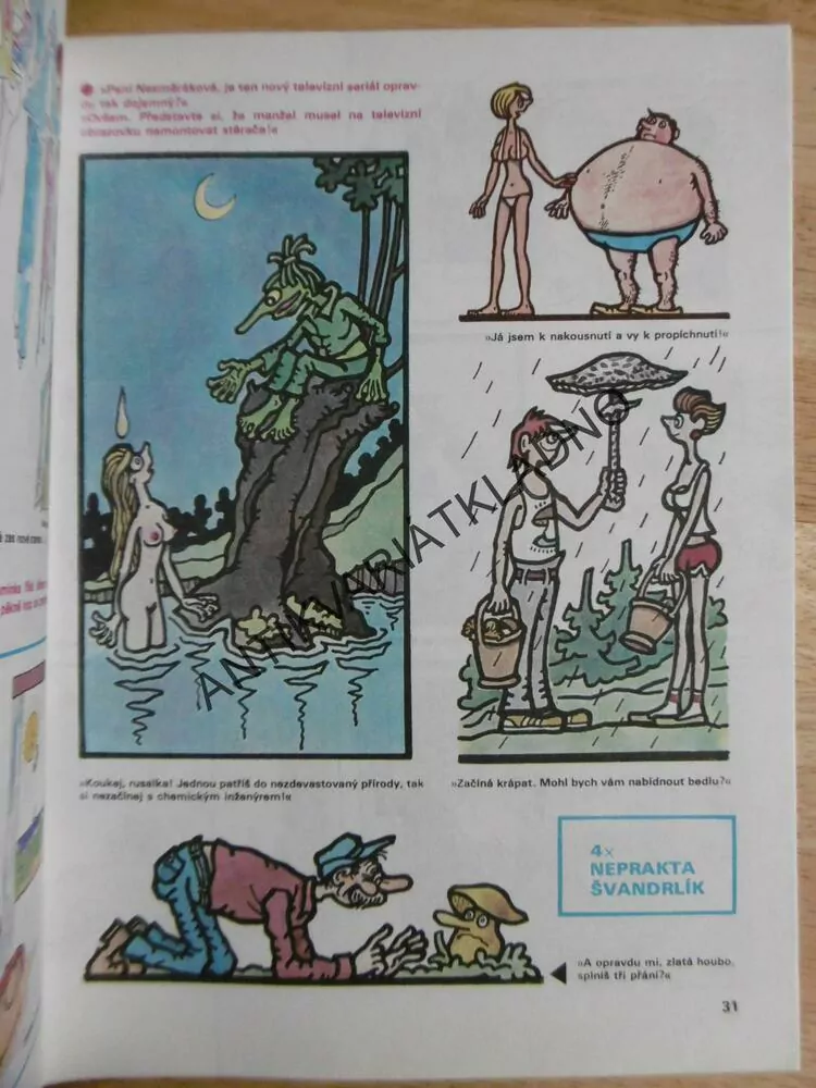 MAGAZÍN DIKOBRAZU, 2/85