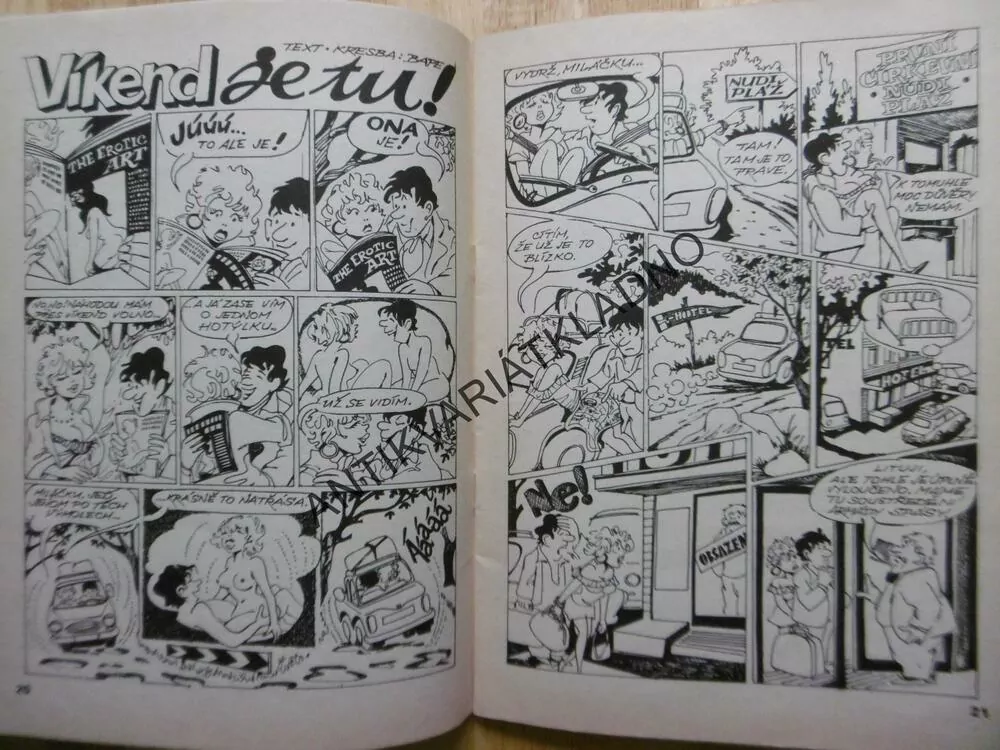 MAGAZÍN DIKOBRAZU, 1991, **an