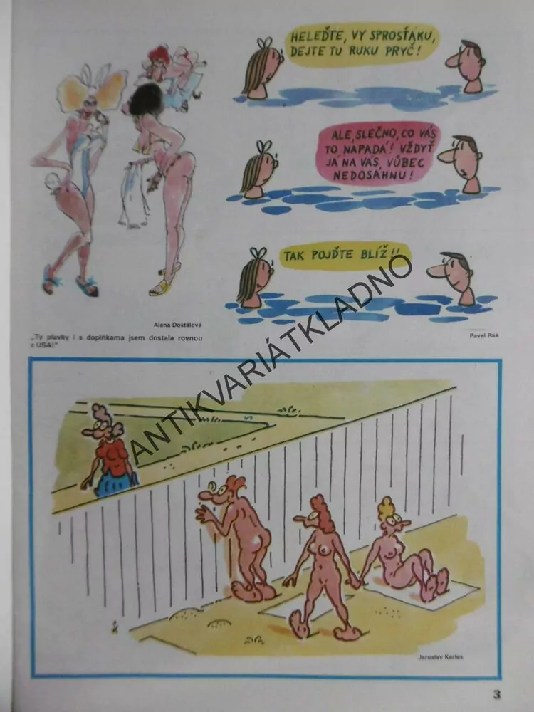 MAGAZÍN DIKOBRAZU, 2/90