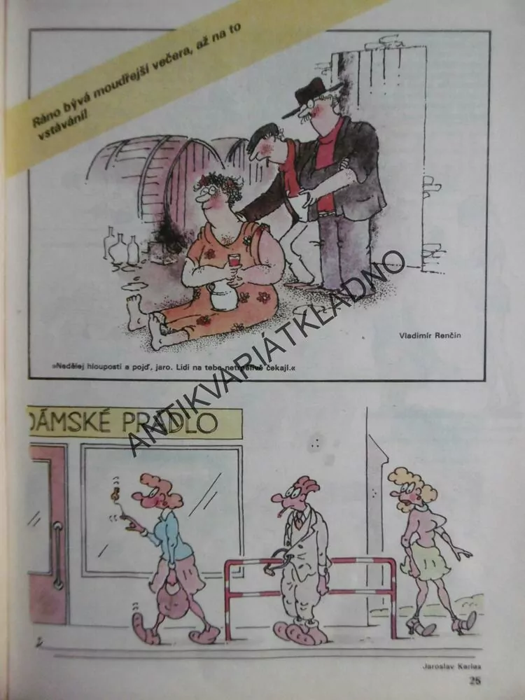 MAGAZÍN DIKOBRAZU, 1/85