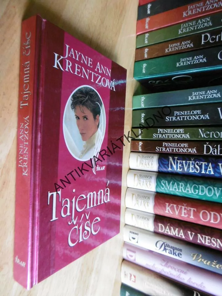 TAJEMNÁ ČÍŠE, JAYNE ANN KRENTZOVÁ, **an