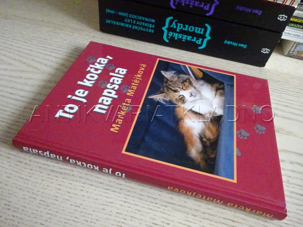 TO JE KOČKA, NAPSALA, MARKÉTA MATĚJKOVÁ, **an
